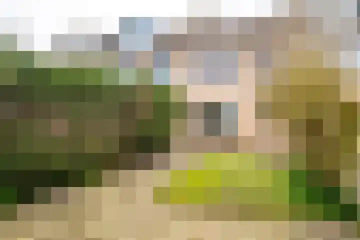 De Tocht 6 Avenhorn thumbnail 41