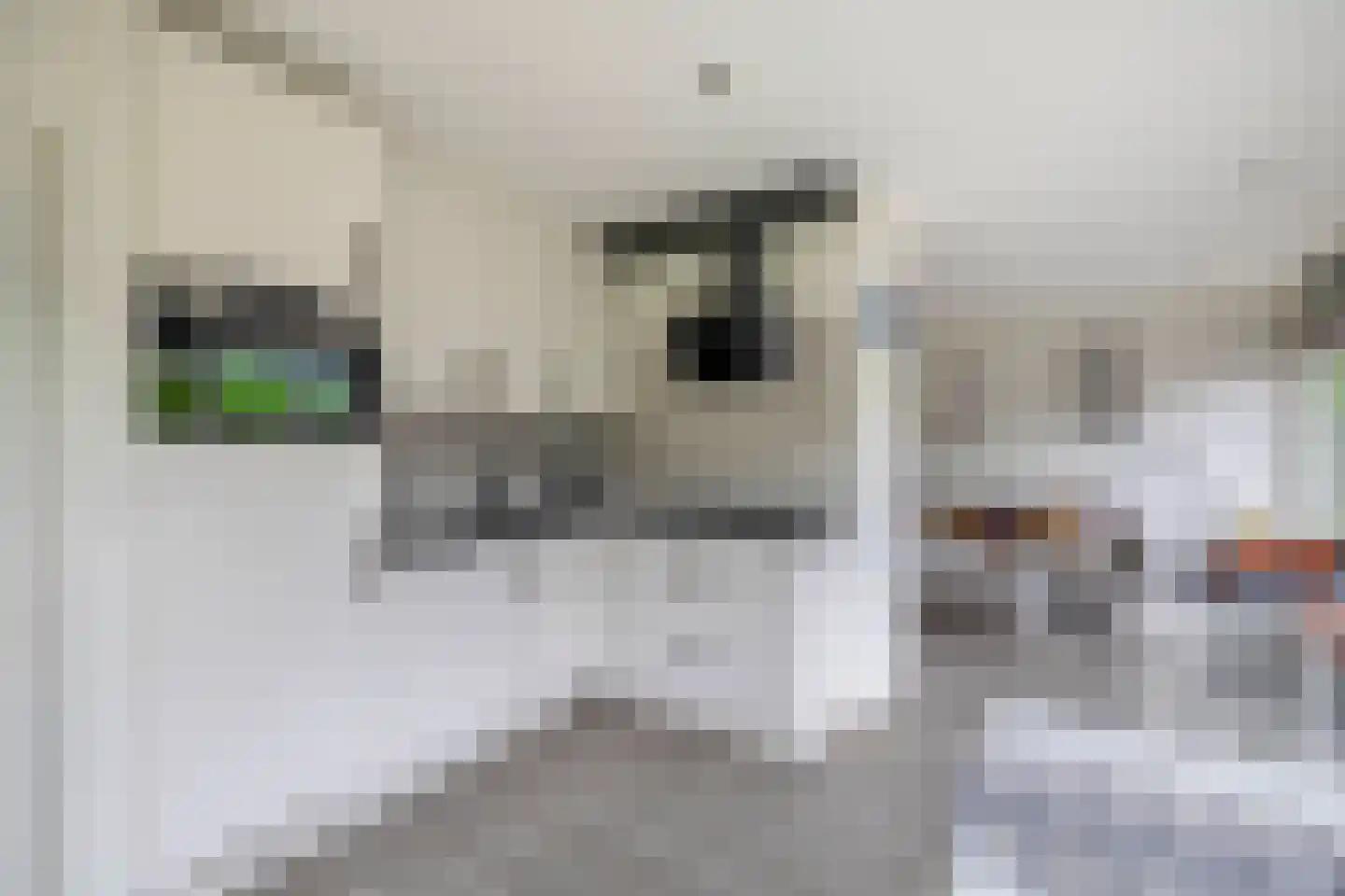 De Toekomst 103 Ouddorp thumbnail 12