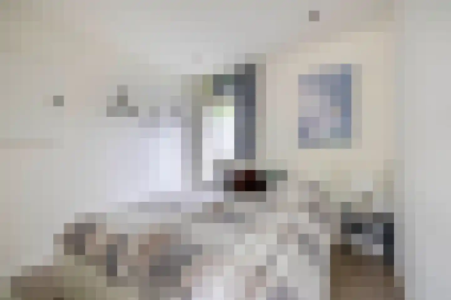 De Toekomst 103 Ouddorp thumbnail 13