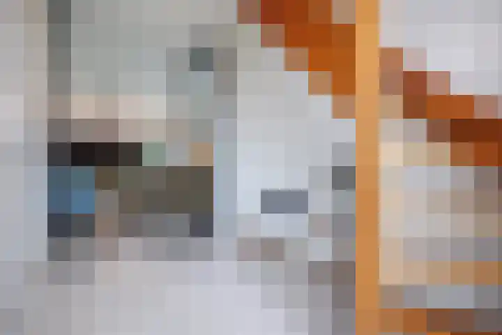 De Tolboom 19 Afferden thumbnail 13