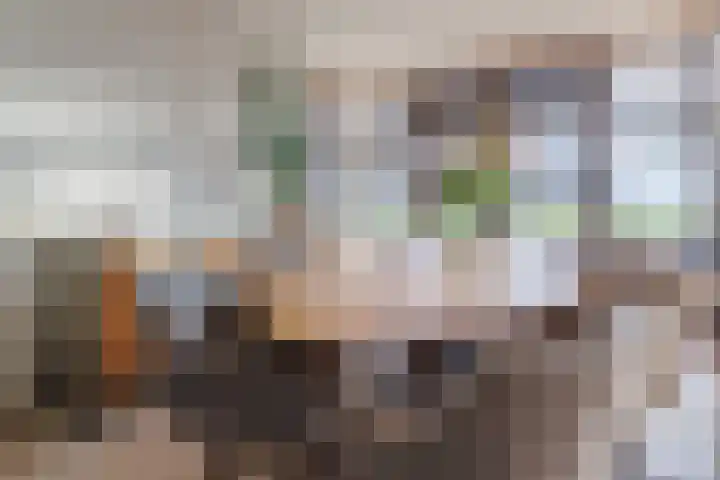 De Tolboom 19 Afferden thumbnail 23