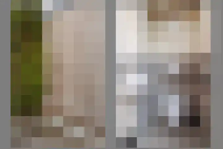 De Tolboom 19 Afferden thumbnail 68