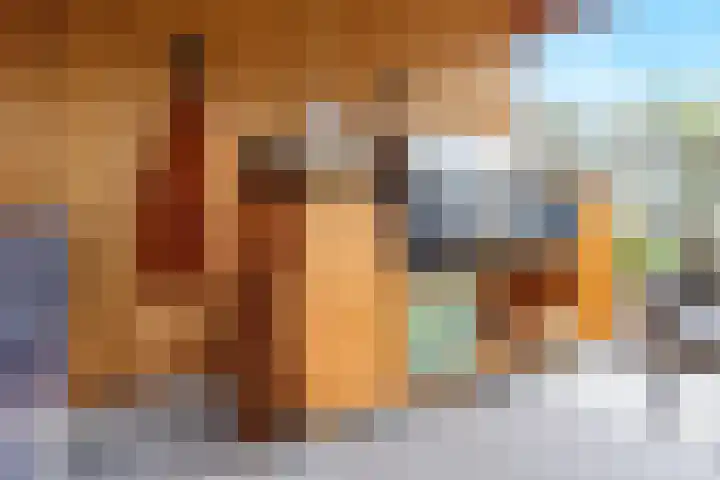 De Tolboom 19 Afferden thumbnail 72