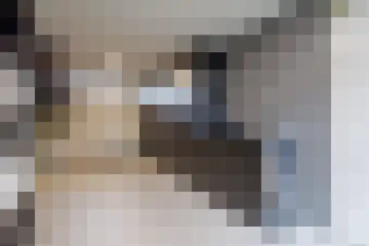 De Tolboom 19 Afferden thumbnail 77
