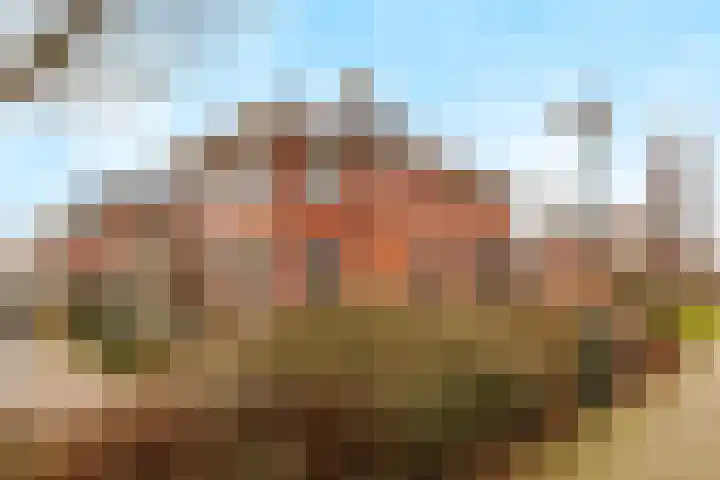 De Tolboom 19 Afferden thumbnail 8