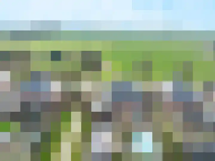 De Tolboom 19 Afferden thumbnail 85