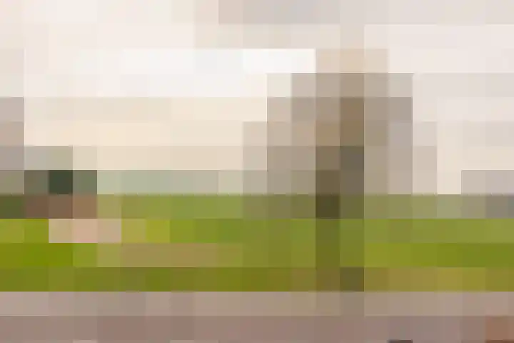 De Tolboom 19 Afferden thumbnail 86