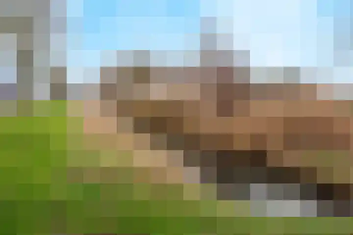 De Tolboom 19 Afferden thumbnail 88