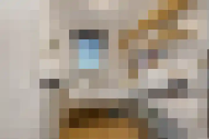 De Toom 20 Malden thumbnail 32