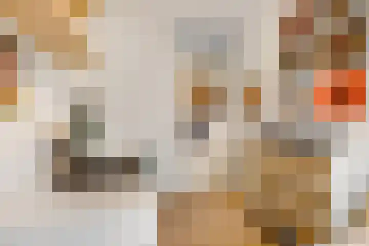 De Toom 20 Malden thumbnail 33