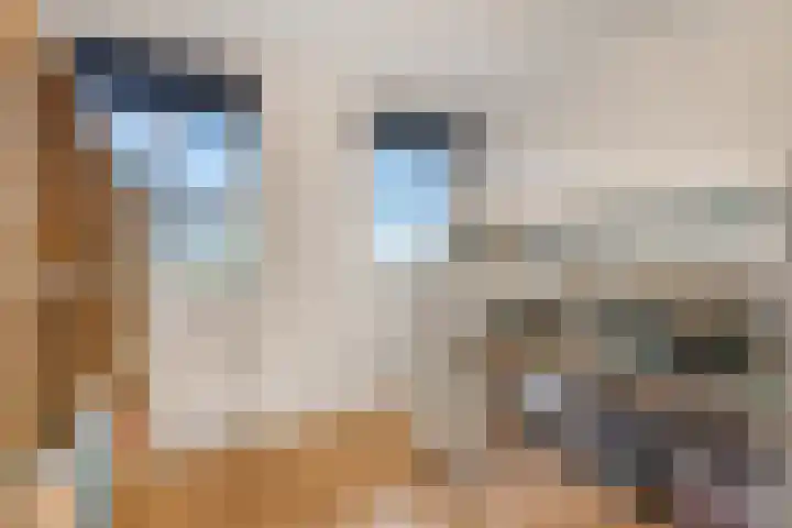 De Toom 20 Malden thumbnail 34