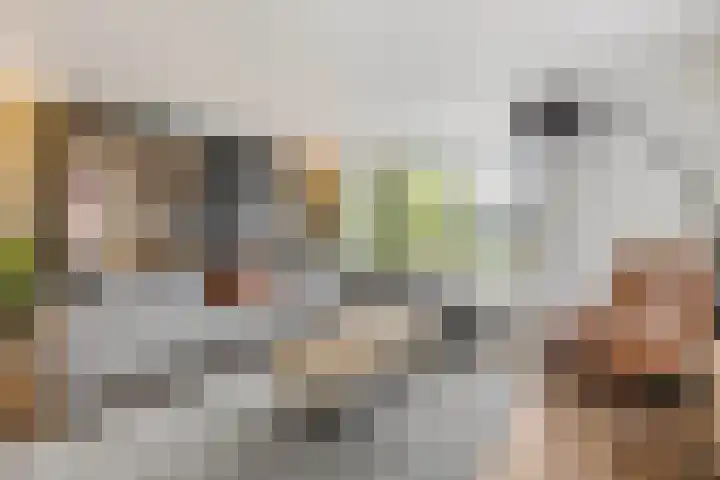 De Toom 20 Malden thumbnail 4