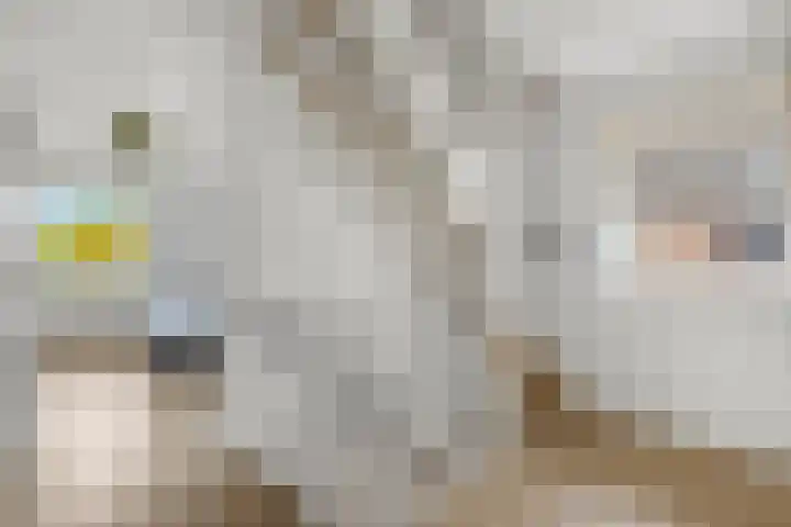 De Toom 20 Malden thumbnail 41