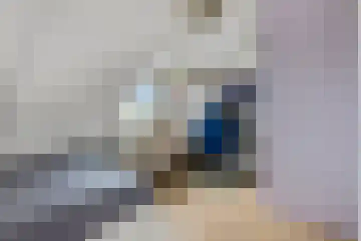 De Toom 20 Malden thumbnail 43
