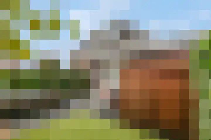 De Toom 20 Malden thumbnail 56