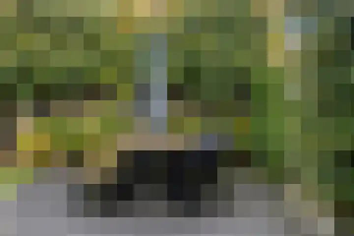 De Toom 20 Malden thumbnail 57