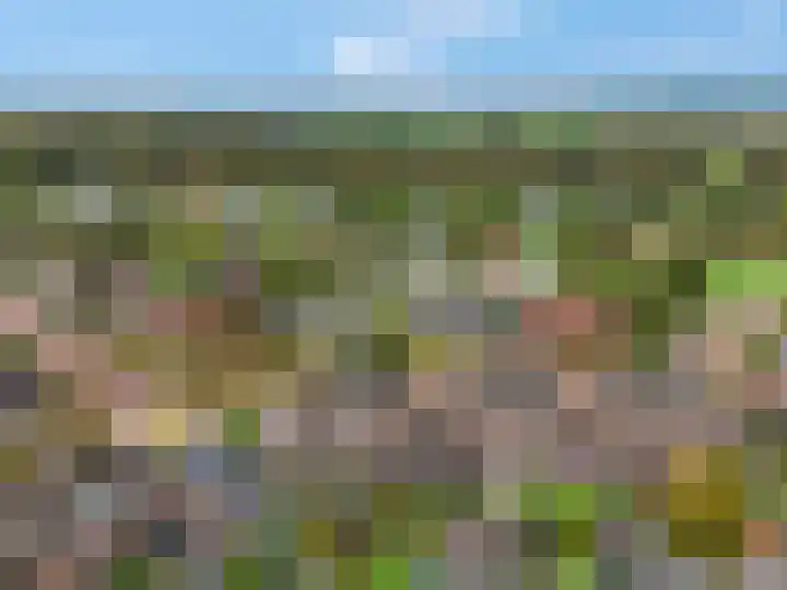 De Toom 20 Malden thumbnail 64