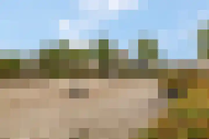 De Toom 20 Malden thumbnail 66