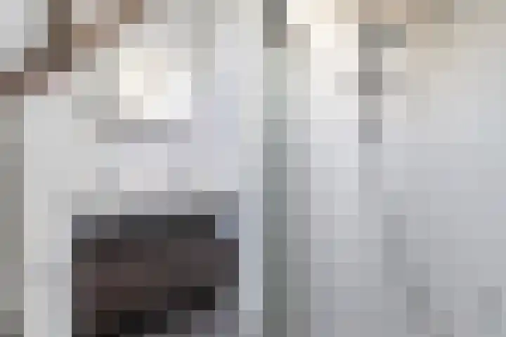 De Tsjalk 10 Hallum thumbnail 31