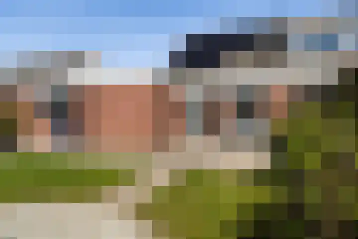 De Tsjalk 10 Hallum thumbnail 34