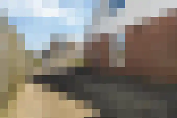 De Tsjalk 10 Hallum thumbnail 40
