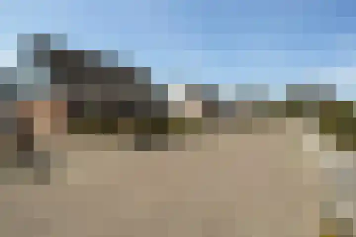 De Tsjalk 10 Hallum thumbnail 43