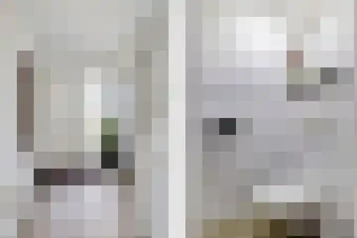 De Tsjalk 11 Grou thumbnail 12