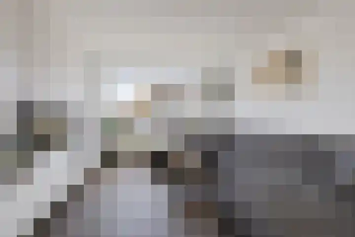 De Tsjalk 11 Grou thumbnail 13