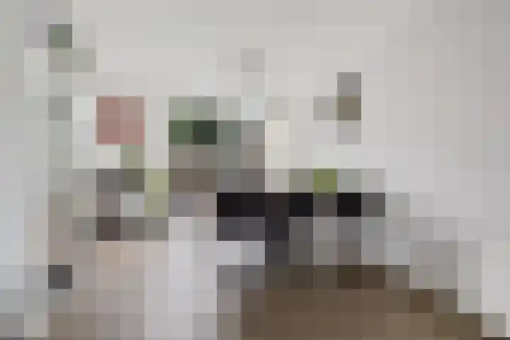 De Tsjalk 11 Grou thumbnail 17