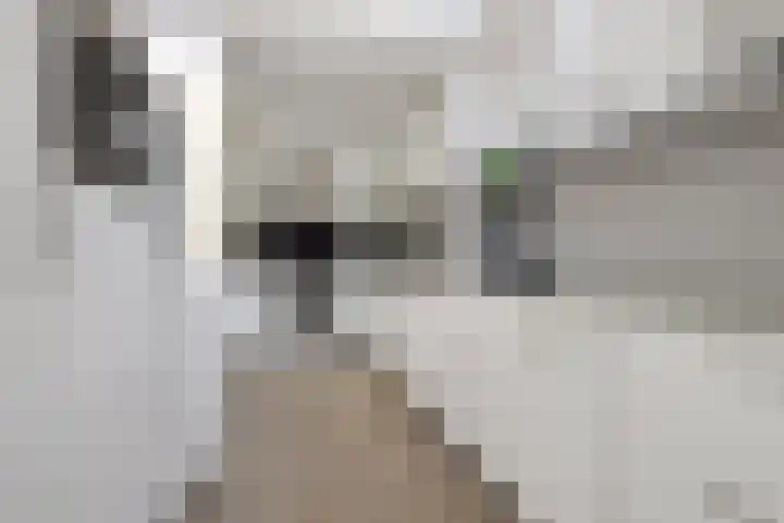 De Tsjalk 11 Grou thumbnail 26