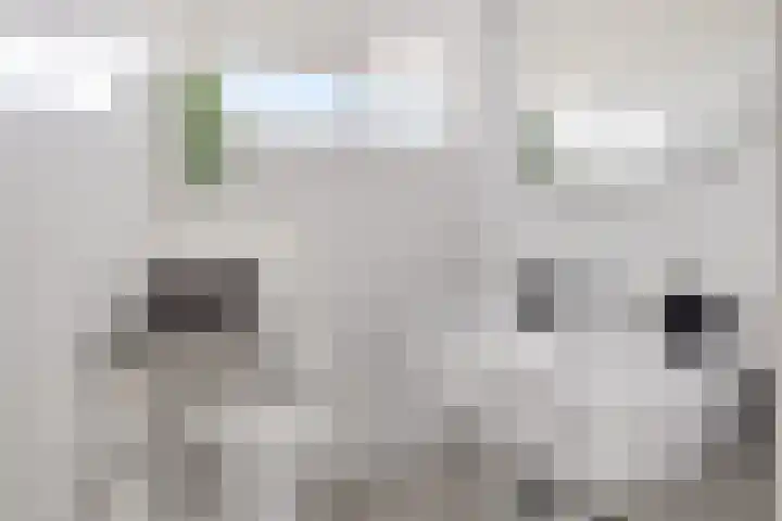 De Tsjalk 11 Grou thumbnail 31