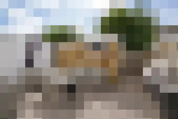 De Tsjalk 11 Grou thumbnail 41