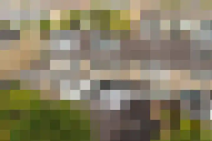 De Tsjalk 11 Grou thumbnail 49