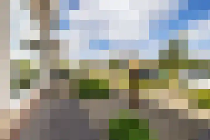 De Tsjalk 11 Grou thumbnail 7