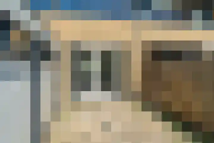 De Tsjalk 19 Grou thumbnail 20