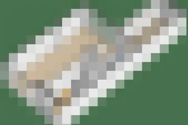 De Tsjalk 19 Grou thumbnail 38