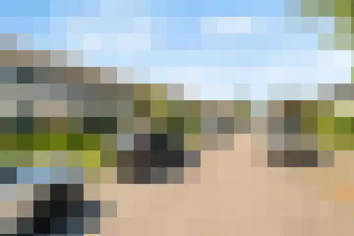 De Tsjalk 19 Grou thumbnail 4