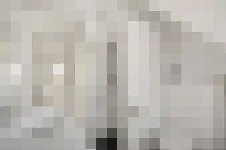 De Tsjalk 9 Hallum thumbnail 14