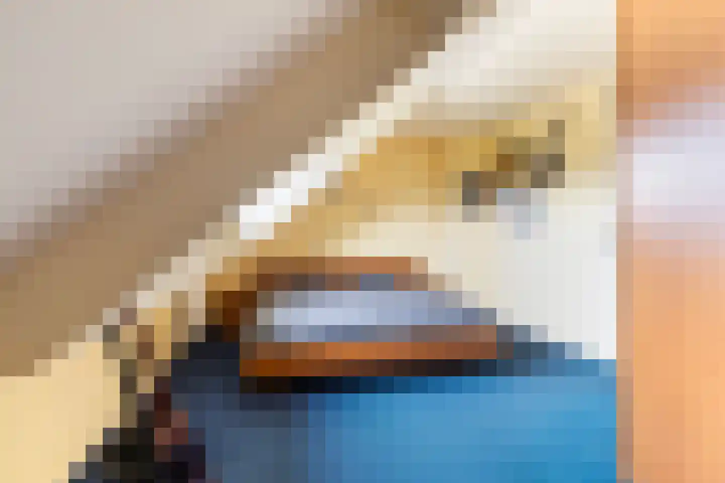 De Tsjalk 9 Hallum thumbnail 15
