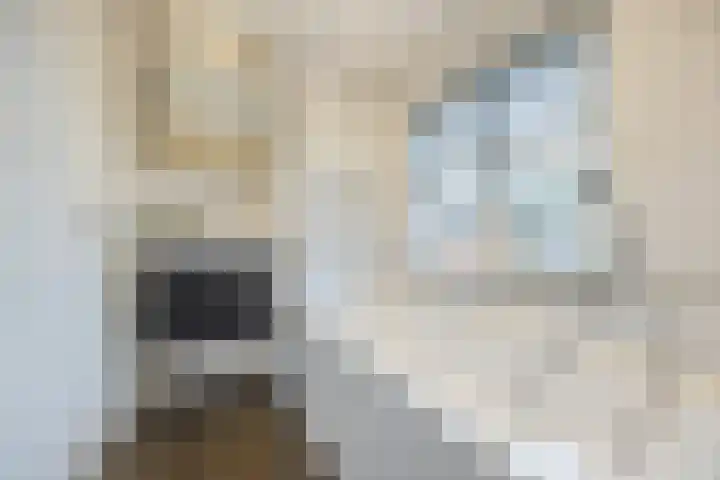 De Tsjalk 9 Hallum thumbnail 16