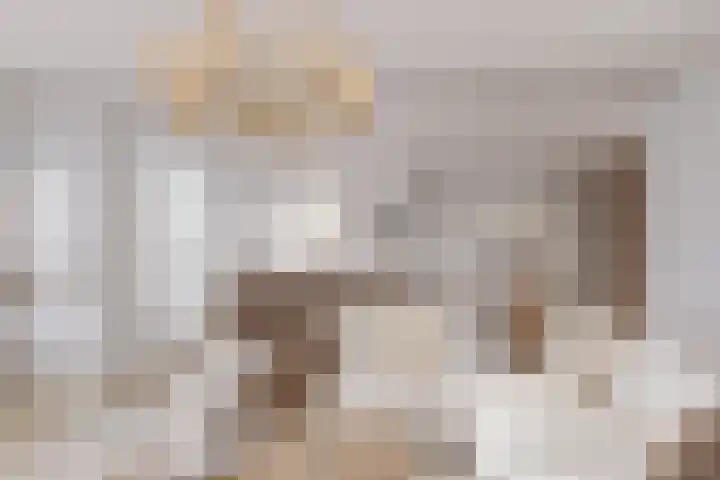 De Tsjalk 9 Hallum thumbnail 17