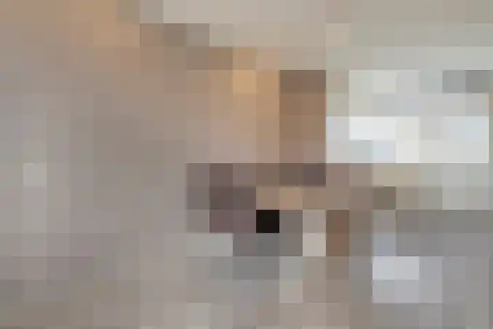 De Tsjalk 9 Hallum thumbnail 21