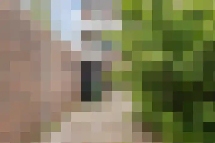 De Tsjalk 9 Hallum thumbnail 23
