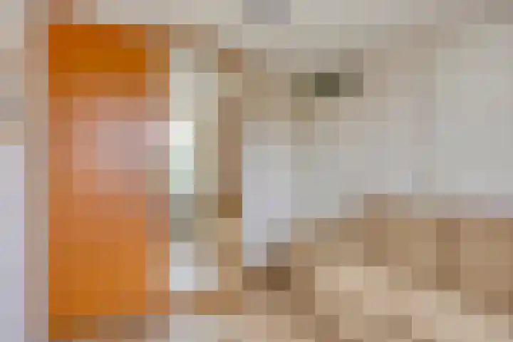 De Tsjalk 9 Hallum thumbnail 29
