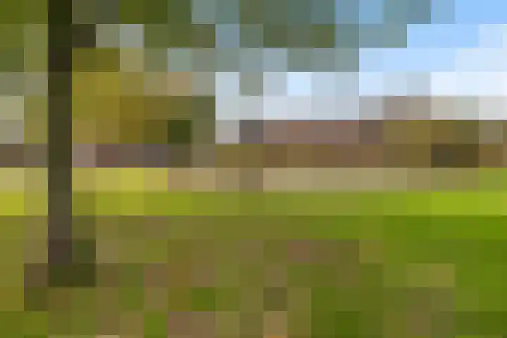 De Tsjalk 9 Hallum thumbnail 45