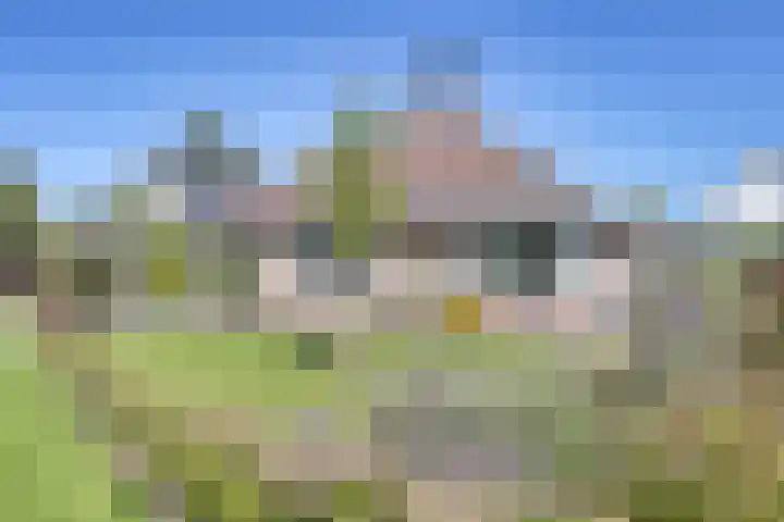 De Tsjasker 1 Witmarsum thumbnail 33