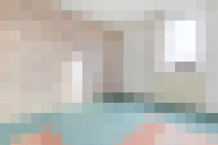 De Tsjotter 3 Hallum thumbnail 12