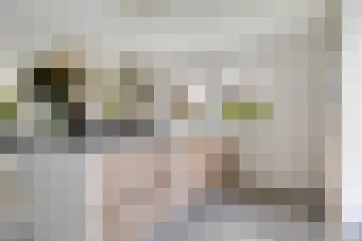 De Tsjotter 3 Hallum thumbnail 14