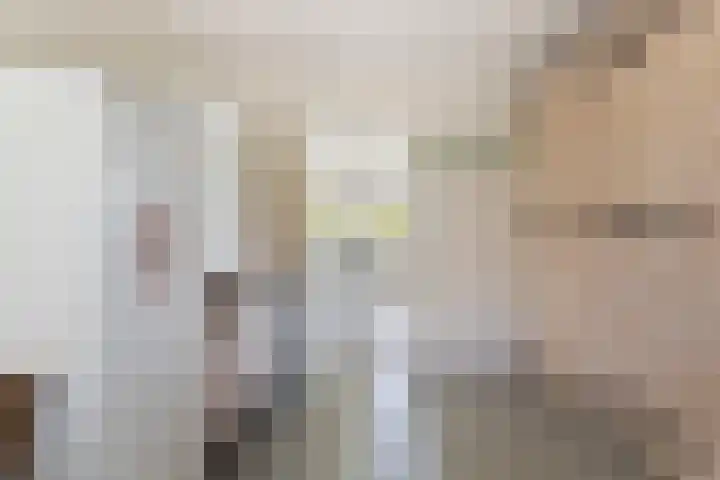 De Tsjotter 3 Hallum thumbnail 18