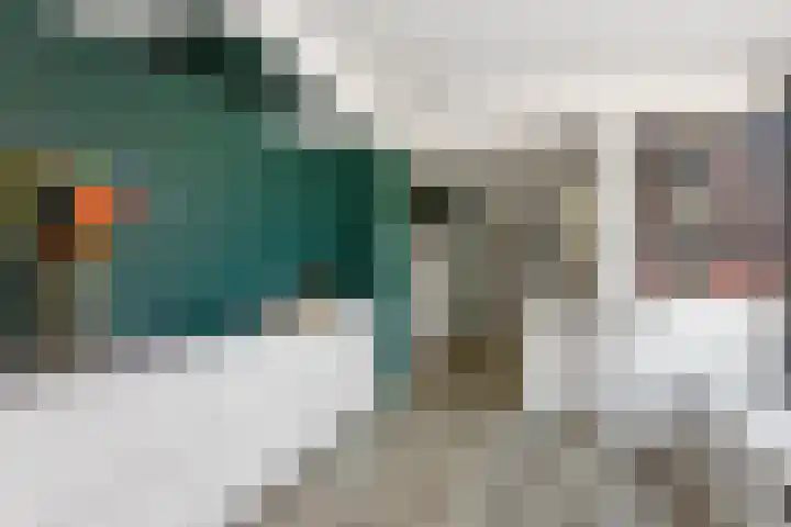 De Tsjotter 3 Hallum thumbnail 19